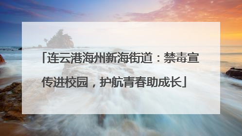 连云港海州新海街道：禁毒宣传进校园，护航青春助成长